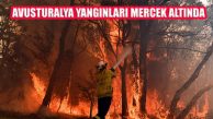Avustralya Yangını Mega Yangınlar Gerçeğini Fark Ettirmeli