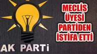 Ak Parti Ataşehir Belediye Meclis Üyesi Partisinden İstifa Etti