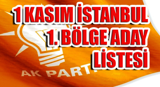 AK Parti İstanbul 1. Bölge Aday Listesi