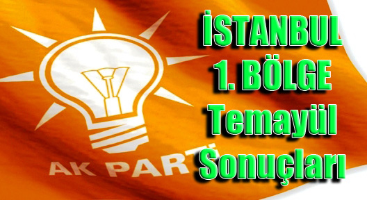 Ak Parti İstanbul 1’nci Bölge Temayül Sonuçları