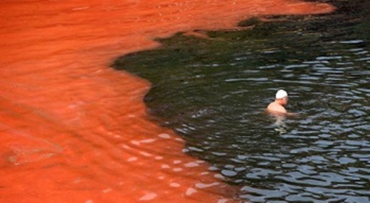 Avustralya’da deniz kızıla büründü