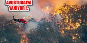 Avustralya Yok Oluyor: Korkunç Yangında 480 Milyon Hayvan Öldü