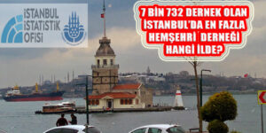 İstanbul’da En Fazla Derneği Bulunan İl Sivas